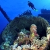 numidia_bro_b_v_0259_egy0619.jpg